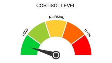 Low Cortisol Team Image
