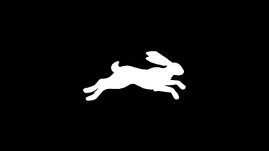 RRC- Rabbit Run Cult Team Image