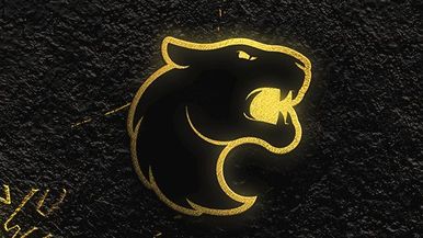 FURIA Team Image