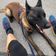 Step by Step for DOGS