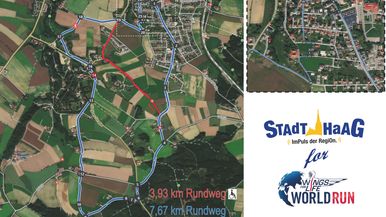 Stadtgemeinde Haag Team Image