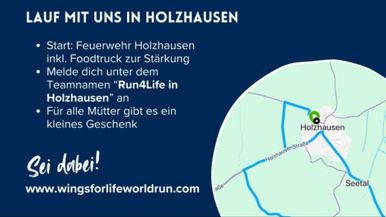 Run4Life in Holzhausen Team Image