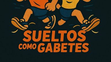 Sueltos Como Gabetes Team Image