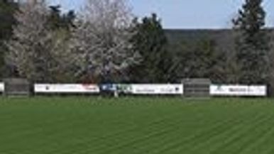SC Piesting Team Image