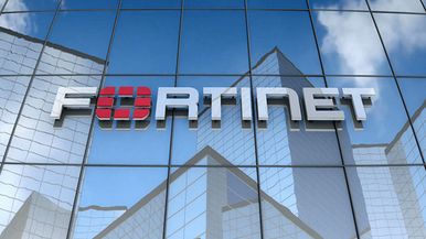 Fortinet and Friends Team Image