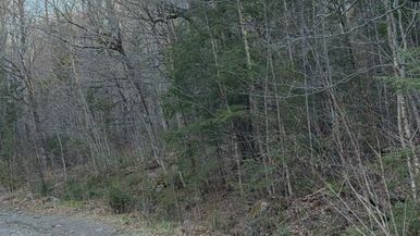 Run the Woods Team Image