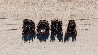 BORA - More than cooking. Team Image