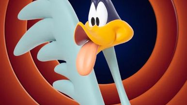 Roadrunner's Team Image