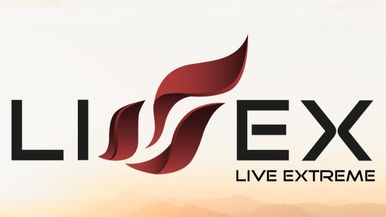 LIVEX🔥 Team Image