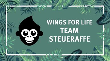 Steueraffe Team Image