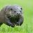 Otterrunner