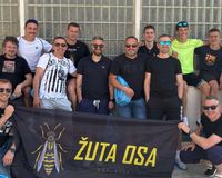 Žuta Osa