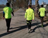 Running Beavers