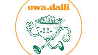 owa.dalli Team Image