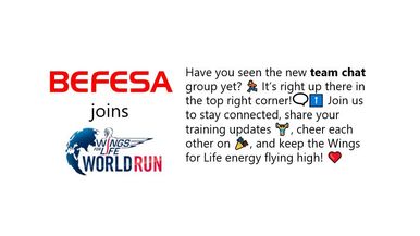 Befesa Runs Team Image