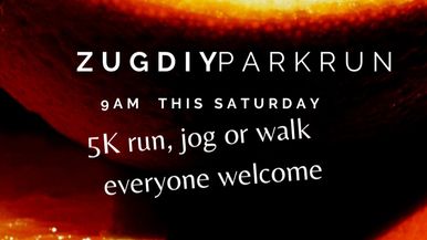 Zug DIY Park Run Team Image