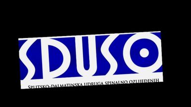 SDUSO Team Image