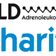 ald-charity.ch