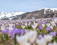 Südtirol aufs Gaspedal