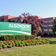 Algonquin College
