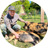 Peter
