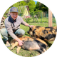 Bodlos, Peter