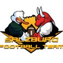 Salzburg Ducks