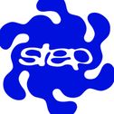 Step Segment