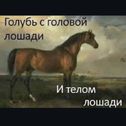 Muhammed Askerov 