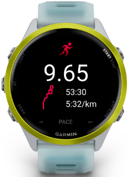 Garmin