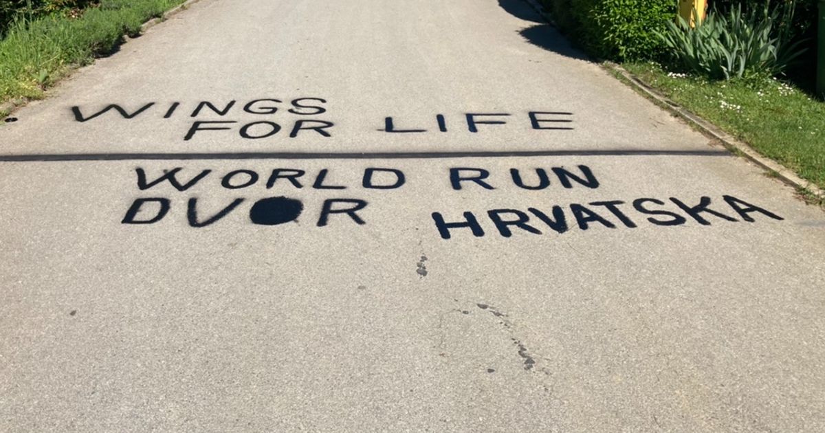 Join me and Dvor, Hrvatska in the Wings for Life World Run!